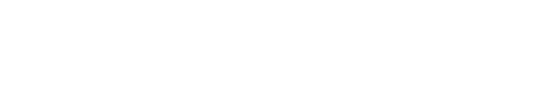 　Ritz Life Solutions Co., Ltd.